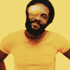 Roy Ayers - Everybody Loves The Sunshine ( NSA Edit )
