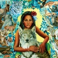 Niklas Wandt - Aufwachen im 21. Jahrhundert