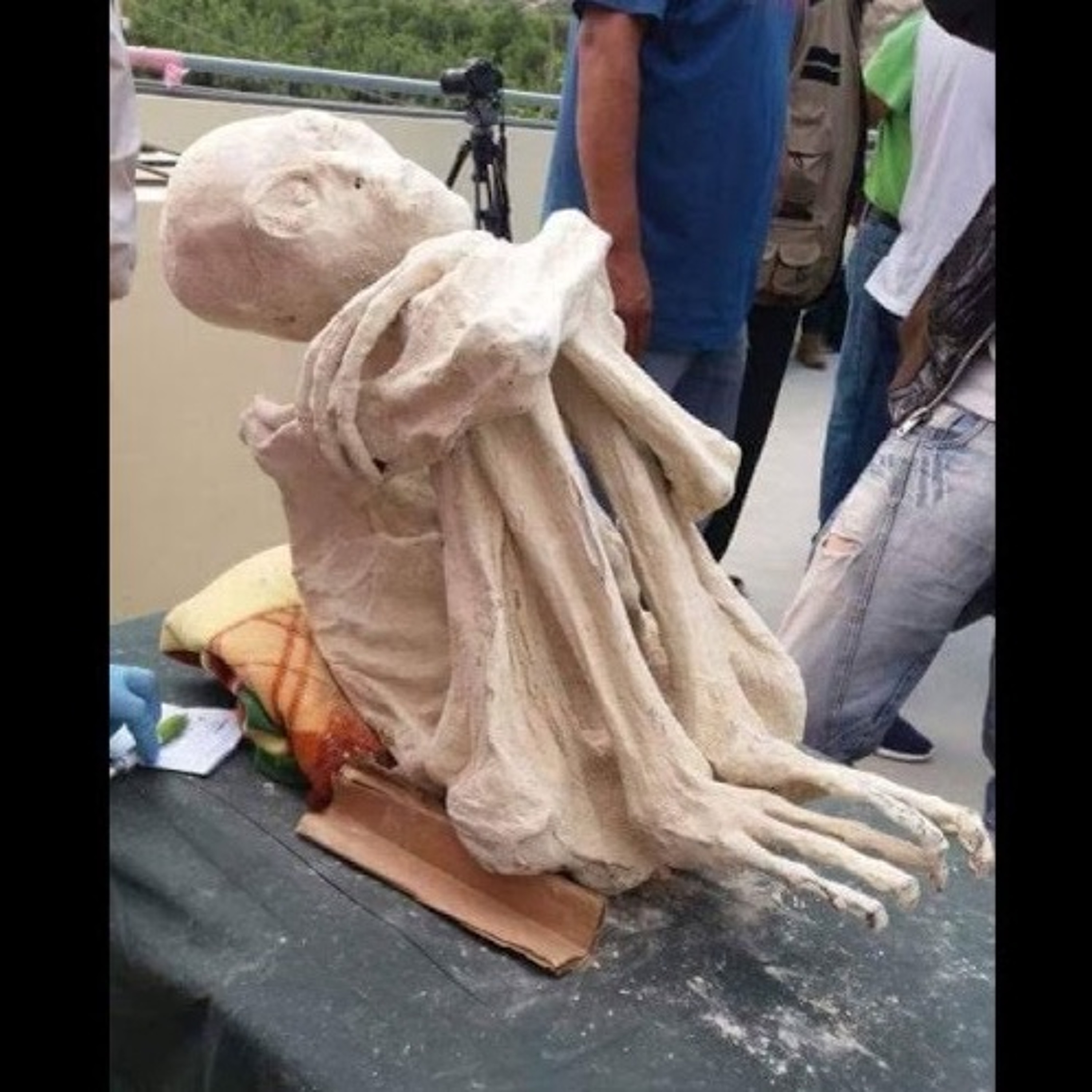 Alien Mummies found in Nazca, Peru! episode artwork
