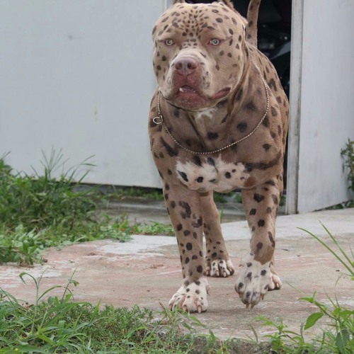 Aint been eatin, I'm just wastin away