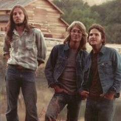 Tin Man (America Cover)