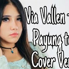 Via Vallen - Akad Payung teduh ( Cover version)