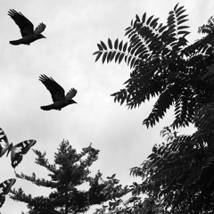 twinone - strange fruit