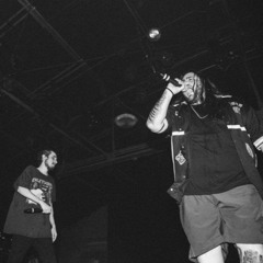 Terminal Sex(instrumental)