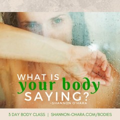 Bodies