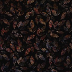ｋｍ4ｔｂｌ [from "ｈｉｂｅｒｎａｔｕｒｅ" LP]