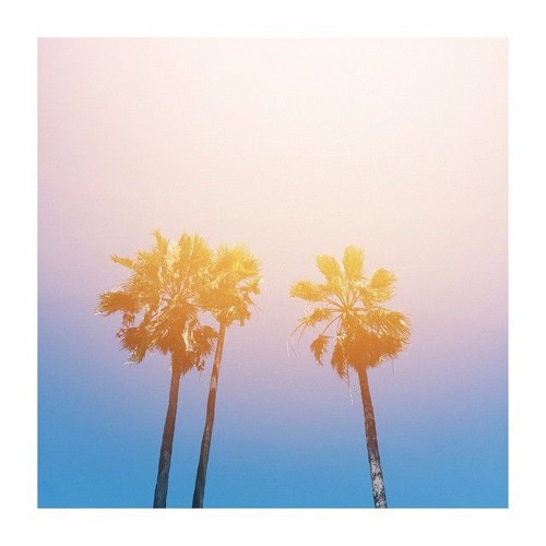 palm