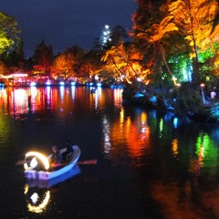 Festival