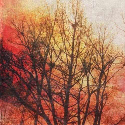 Shiver (feat. Bonza)