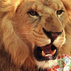 Happy love soul afrobeat instrumental "African queen" type beat (Holy Clap Beats prod.)