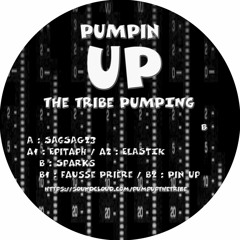 B2 Sparks - Pin Up Master 01 - Out on vinyl on Pump Up The Tribe 02