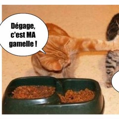 Bouge De Là avec Leacam et LSampson (MC Solaar) Easy'Cover