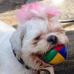 PREMIERE: Doppelate - It's Getting Hot In Here [Let's Go Swimming]