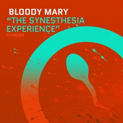 Bloody Mary - Experience #3