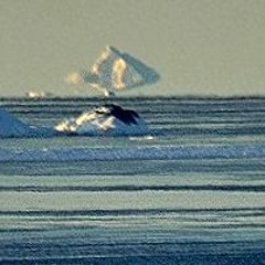 Dser - mirage (dsercmpl001)