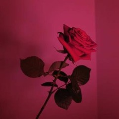 បងគេងទៅ (ច្រៀងដោយអ្នកស្រី ប៉ែន រ៉ន)