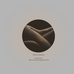 Ricardo Villalobos - Skinfummel (Wave Particle Singularity Remix) (Cut)