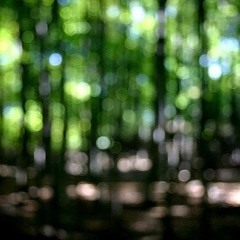 Losing Focus (Instrumental)