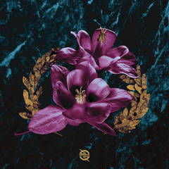 redz - champ