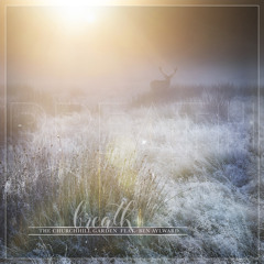 Breath feat. ben aylward