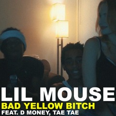 Lil Mouse - Bad Yellow Bitch ft. D Money, Tae Tae