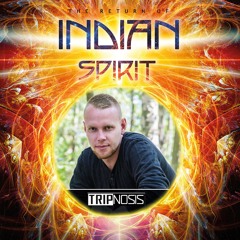 Tripnosis Live @ Indian Spirit Festival, Germany 2017