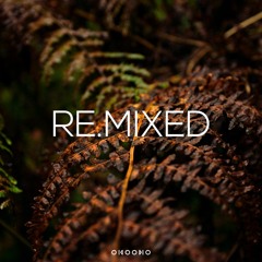 RE.MIXED Sovndscapes