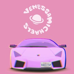 RakeItUp (Venessa Michaels Remix)