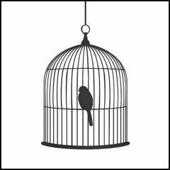 Marc Baigent & Element Z - Bird Cage (FREE DOWNLOAD)