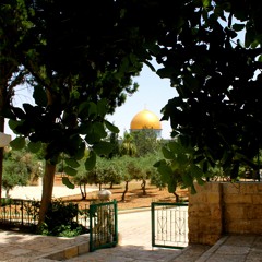ع دروب القدس - مراد الزغاري