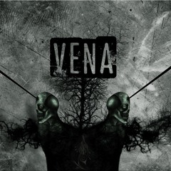 Vena