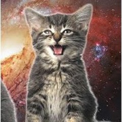 Space Cats  Magic Fly