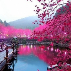 Chillhop/Nu-Jazz/Jazzhop/Triphop/Lo-Fi Hip Hop