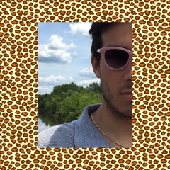 Leopard Print Steering Wheel