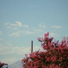 This Candle’s Lost Its Smell (Instrumental)