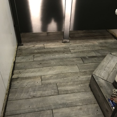 proteg3  joey  scream