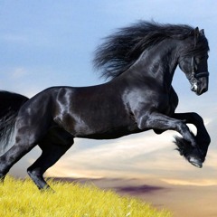 ابن الوليد صانع الأبطال الشيخ خالد الراشد