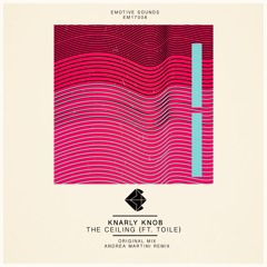 Knarly Knob - The Ceiling feat Toile (Original Mix) - preview