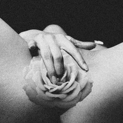 The Secrets - Feilong (Free download)