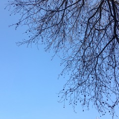 Comme de la musique/La tangente