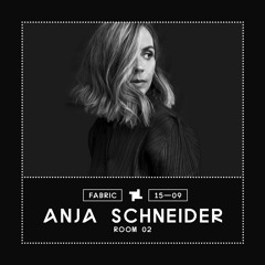 Anja Schneider fabric Promo Mix