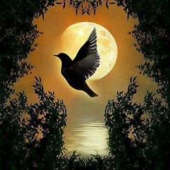 Je Crois Entendre Encore (Romance de Nadir) Bizet