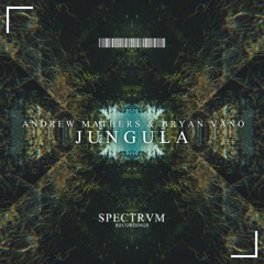Andrew Mathers & Bryan Vano - Jungula (OUT NOW)