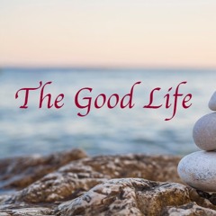 The Good Life Episode II Self Assessment