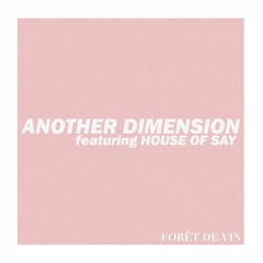 Another Dimension feat. House of SAY