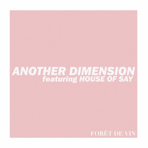Another Dimension feat. House of SAY