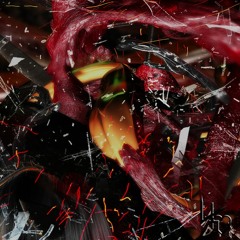 VIOLENCE - Abandoned Phoetus Further Obscured To Impregnate The Garden With Impotence [PTP2004}