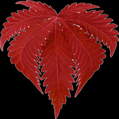 Jorden - Was Guckst Du so!? (prod. Juelz Vice)