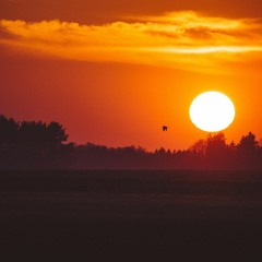 DUSK 2013A (INTRO) (PROD. BY TENCENT)