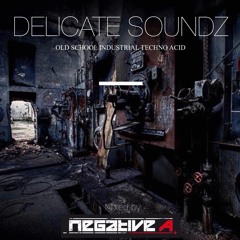 Delicate Soundz - Old School Industrial Techno Acid [1990-1993]